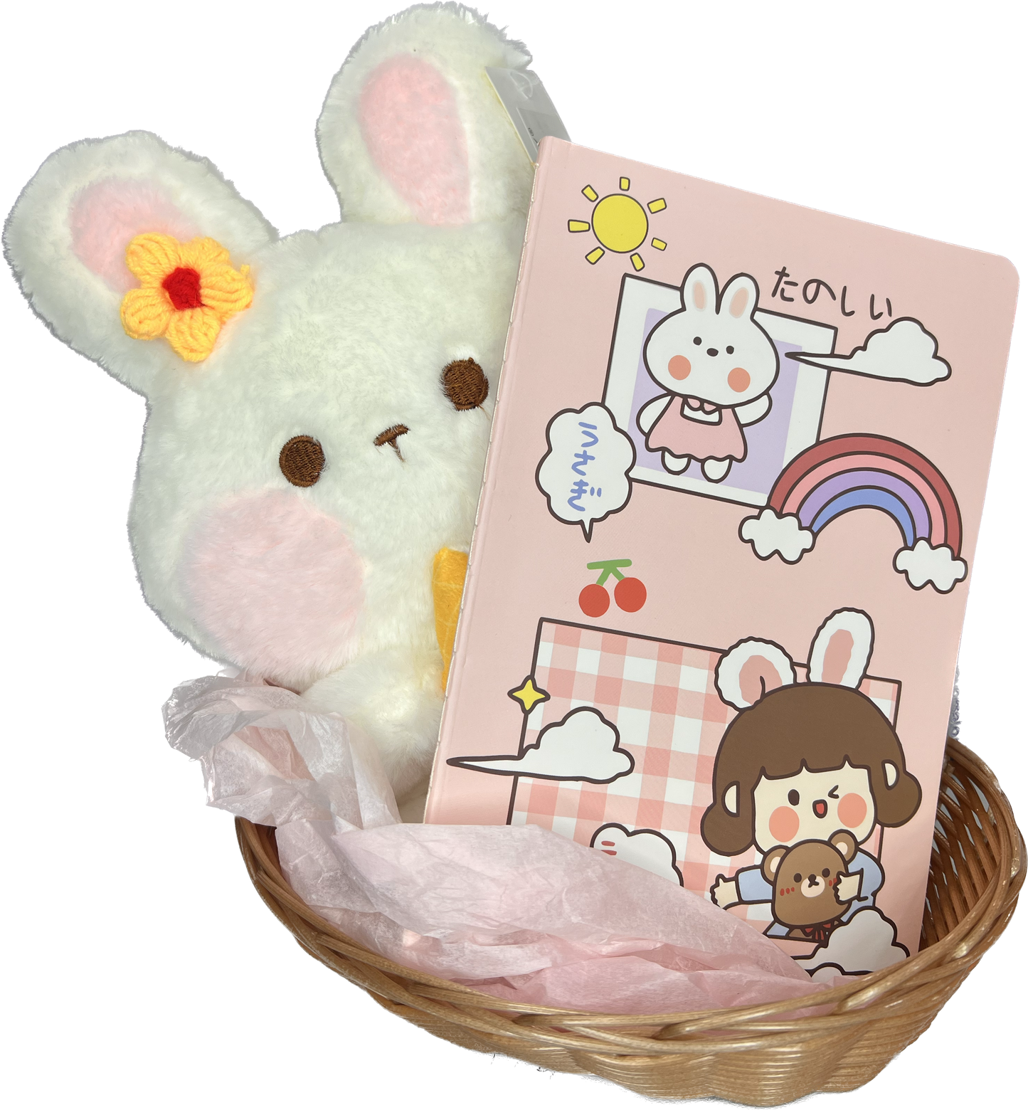 12-inch Special bunny basket , freeze dried skittles ,easter journal